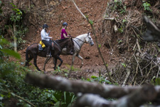 Costa Rica-Pacific Coast-Conquistadores Wilderness Eco-Safari